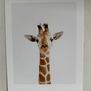 Baby Giraffe Little Darling Print by Sharon Montrose (The Animal Printshop)